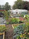 well as growing vegetables - via Daymix