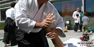 Image result for AikidoFlow