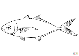 Image result for Caranx ruber