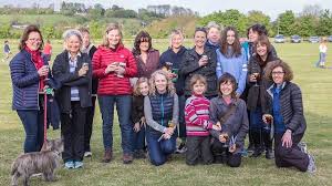 Image result for Buckhorn Weston Cricket Club