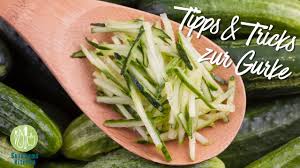 Image result for Gurke