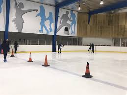 Image result for Streatham Ice Figure Skating Club, Kent
