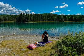 Image result for Leek Park B C