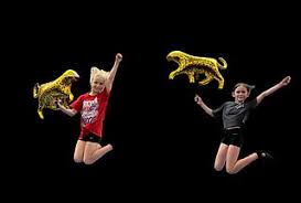 Image result for Chiltern Cheetahs