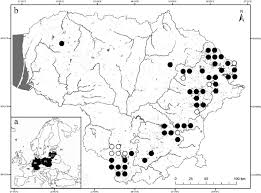 Attēlu rezultāti vaicājumam “Chara filiformis”