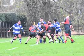 Image result for Lowestoft and Yarmouth Rugby Union Football Club