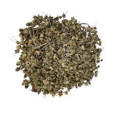 Attēlu rezultāti vaicājumam “Leucanthemum vulgare flower”