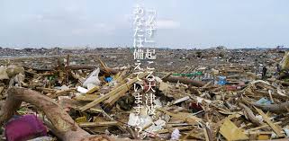 Image result for 耐震 大津波無力