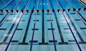 Image result for Tynedale Swimming Club