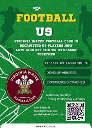 Image result for Virginia Water Football Club