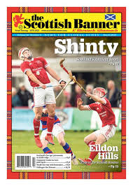 Image result for World of Shinty