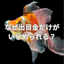 Image result for 出目金