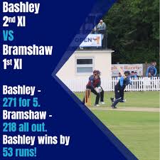 Image result for Bashley (Rydal) Cricket Club
