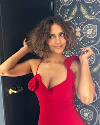 Afbeeldingsresultaat voor halle berry