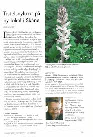 Attēlu rezultāti vaicājumam “Orobanche reticulata”