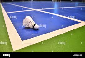 Image result for Shuttlecocks Badminton Club