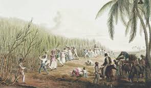 Image result for Capoeira Massive