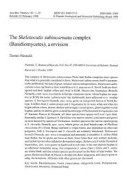 Attēlu rezultāti vaicājumam “Skeletocutis stellae”