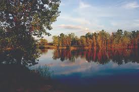 Image result for Slough