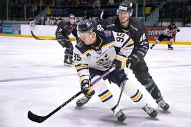 Image result for Romford Raiders