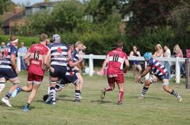 Image result for Amersham & Chiltern Rugby Football Club