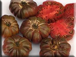 Afbeeldingsresultaat voor purple calabash tomato