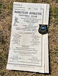 Image result for Banstead Athletic Fc