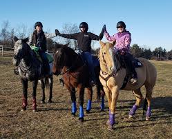 Image result for Lakes Riding Club