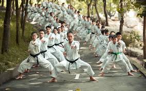 Image result for Soncho Karate Club