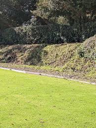 Image result for Chester Road Bowling Club