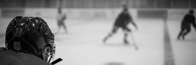 Image result for Pontypool Skater Hockey Club