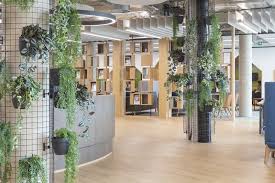 Image result for University Of Sussex