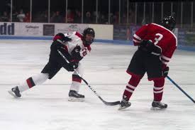 Image result for Demons Skater Hockey Club