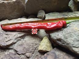 Afbeeldingsresultaat voor joe long cayenne hot pepper