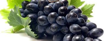 Attēlu rezultāti vaicājumam “Vitaceae”