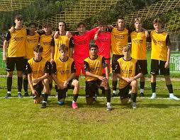 Image result for East Grinstead Town Football Club