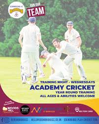 Image result for Edenbridge Cricket Club