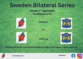 Image result for High Easter Cricket Club