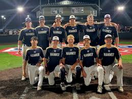 Image result for Hessle Baseball Club