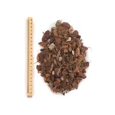 Attēlu rezultāti vaicājumam “Enteridium variabile”