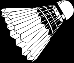 Image result for Vale Badminton Club