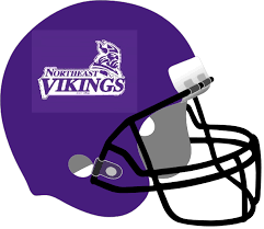 Image result for North East Vikings