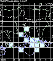 Attēlu rezultāti vaicājumam “Thiodia citrana”