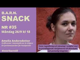 Image result for Amelia Andersdotter