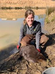 Image result for Beaver Sc