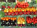 Shopping At Farmers Markets with Food Stamps Nature Moms Blog