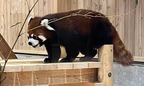 「山田桐生」の画像検索結果