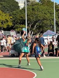 Image result for Civil Service (Ipswich) Netball Club