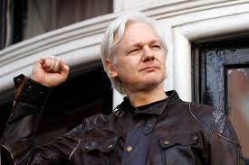 Image result for julian assange