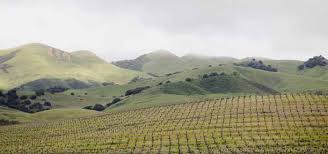 Image result for site:net pino◆MatthewZ8E